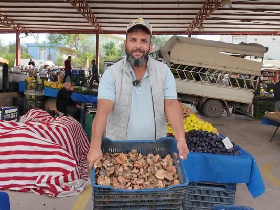 Çıntar mantarı pazar tezgahında