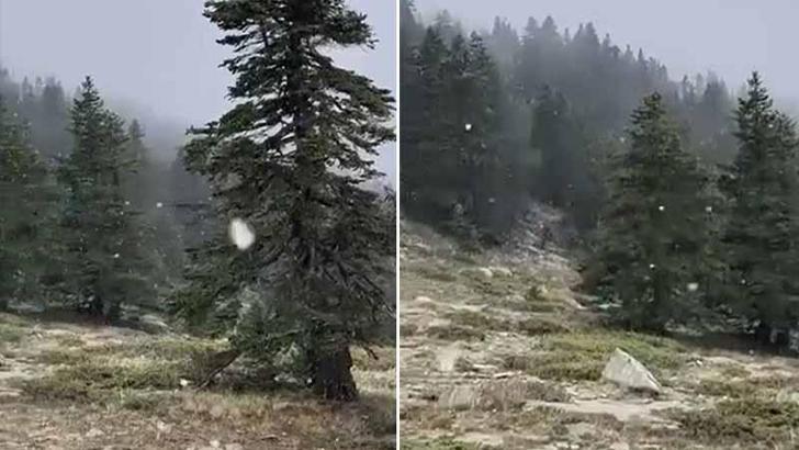 Uludağ'a kar yağdı