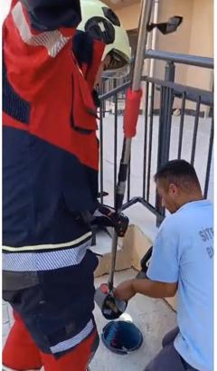 Havalandırma borusuna düşen kedi kurtarıldı