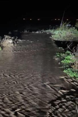 Yenişehir'de tarım arazileri sular altında kaldı