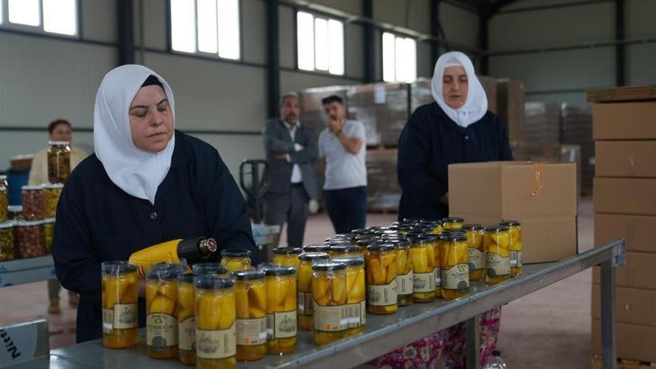 Gürsu’da kadınlar turşu üretimine başladı