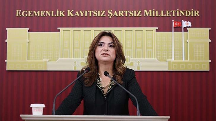DEM Parti’li Koçyiğit: Bu ülkedeki her 100 liranın 17 lirası faize gidiyor