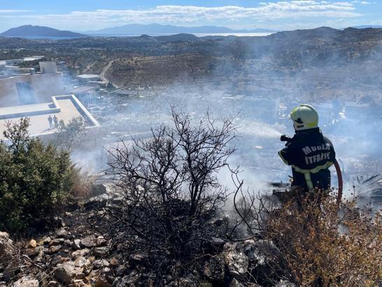 Bodrum'da maki yangını, büyümeden söndürüldü