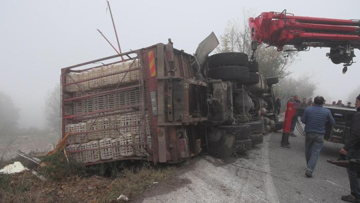 Canlı tavuk yüklü kamyon devrildi: 4 yaralı