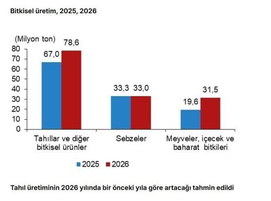 TÜİK: Tahıl, meyve, baharat üretiminde artış, sebze üretiminde azalış öngörüldü