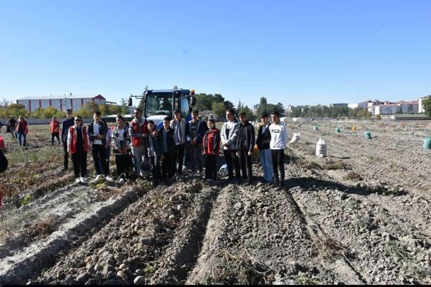 Niğde’de gençler patates hasadına katıldı