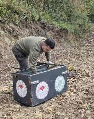 Otomobilin çarptığı karaca, tedavisi sonrası doğaya bırakıldı
