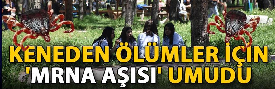 Keneden ölümler için 'mRNA aşısı' umudu