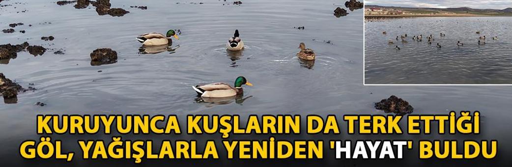 Kuruyunca kuşların da terk ettiği göl, yağışlarla yeniden 'hayat' buldu