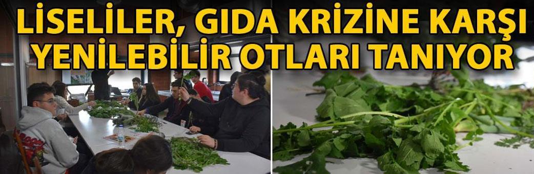 Liseliler, gıda krizine karşı yenilebilir otları tanıyor