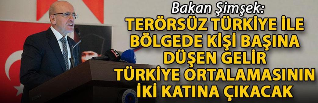 Bakan Şimşek: Terörsüz Türkiye ile bölgede kişi başına düşen gelir, Türkiye ortalamasının iki katına çıkacak