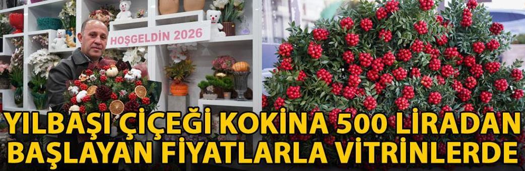 Yılbaşı çiçeği kokina 500 liradan başlayan fiyatlarla vitrinlerde