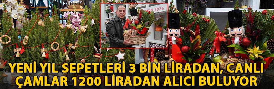 Yeni yıl sepetleri 3 bin liradan, canlı çamlar 1200 liradan alıcı buluyor