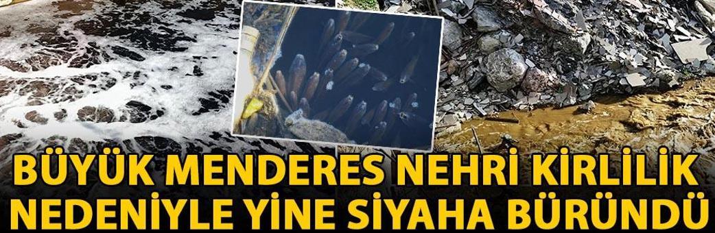 Büyük Menderes nehri kirlilik nedeniyle yine siyaha büründü