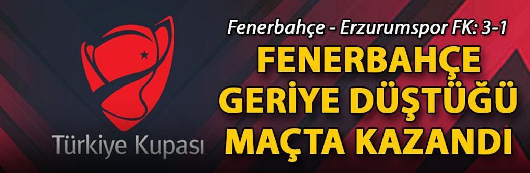 Fenerbahçe - Erzurumspor FK: 3-1