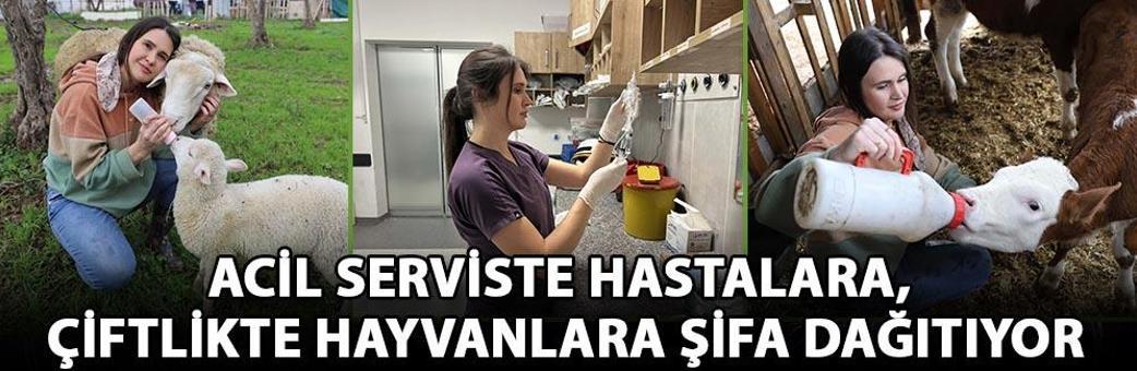 Acil serviste hastalara, çiftlikte hayvanlara şifa dağıtıyor