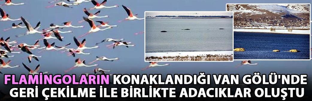 Flamingoların konaklandığı Van Gölü'nde geri çekilme ile birlikte adacıklar oluştu