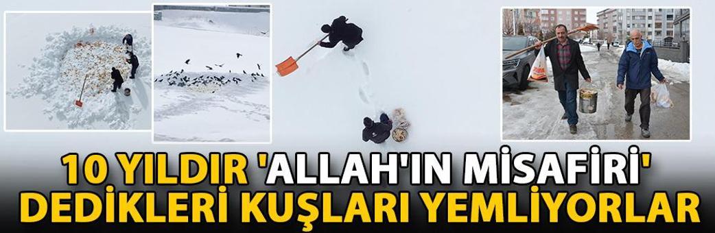 10 yıldır 'Allah'ın misafiri' dedikleri kuşları yemliyorlar