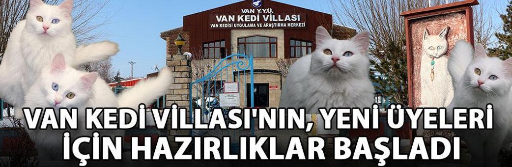 Van Kedi Villası'nın, yeni üyeleri için hazırlıklar başladı