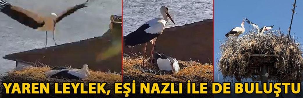 Yaren Leylek, eşi Nazlı ile de buluştu