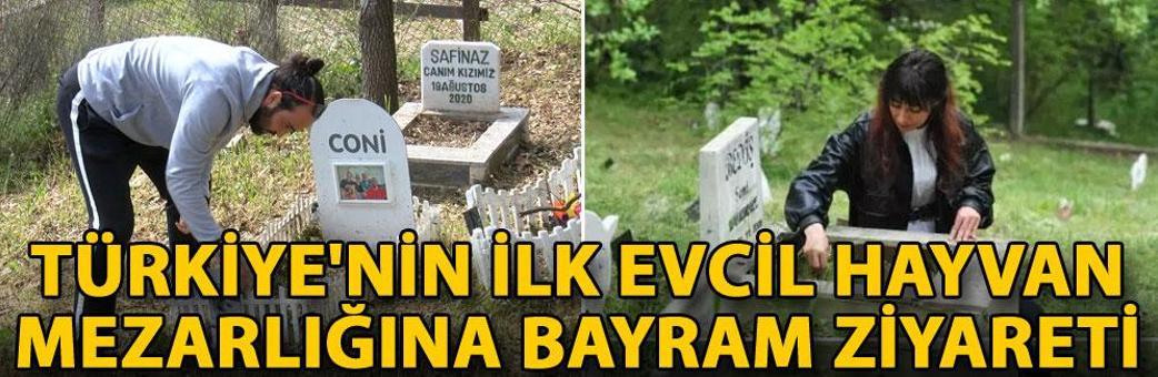 Türkiye'nin ilk evcil hayvan mezarlığına bayram ziyareti