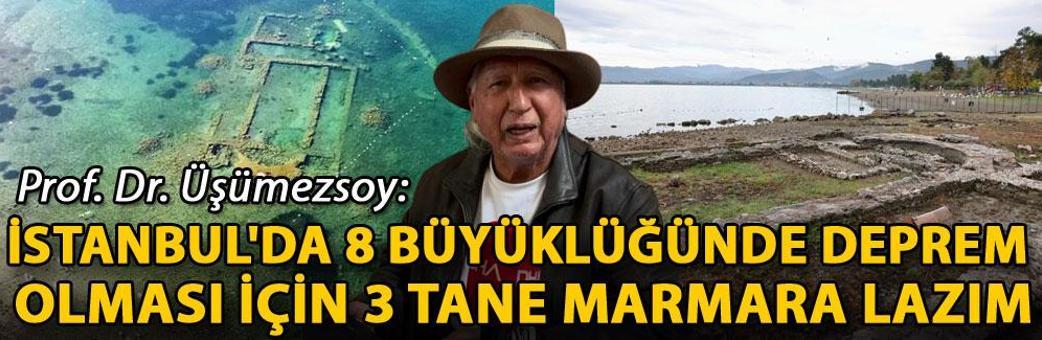 Prof. Dr. Üşümezsoy: İstanbul'da 8 büyüklüğünde deprem olması için 3 tane Marmara lazım