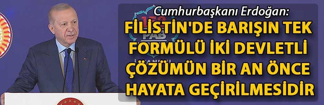Cumhurbaşkanı Erdoğan: Filistin'de barışın tek formülü iki devletli çözümün bir an önce hayata geçirilmesidir