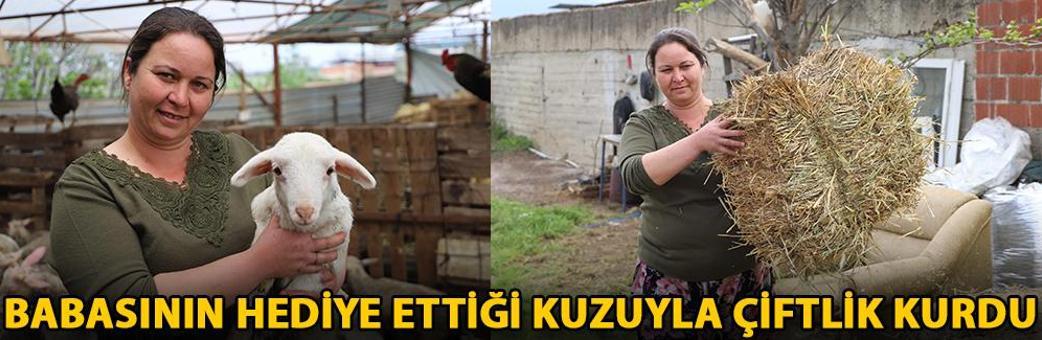 Babasının hediye ettiği kuzuyla çiftlik kurdu