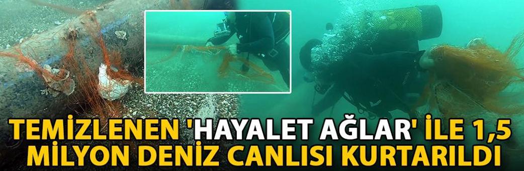 Temizlenen 'hayalet ağlar' ile 1,5 milyon deniz canlısı kurtarıldı
