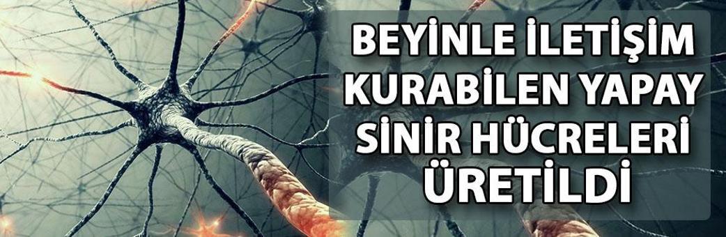 Beyinle iletişim kurabilen yapay sinir hücreleri üretildi