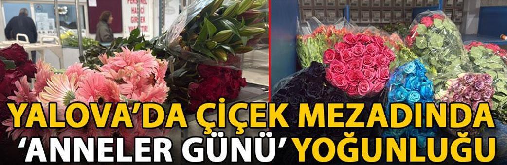 Yalova’da çiçek mezadında ‘Anneler Günü’ yoğunluğu