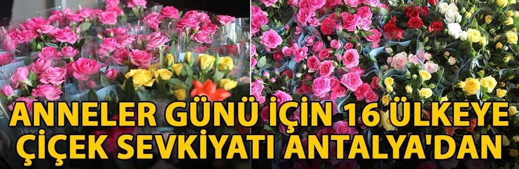 Anneler Günü için 16 ülkeye çiçek sevkiyatı Antalya'dan