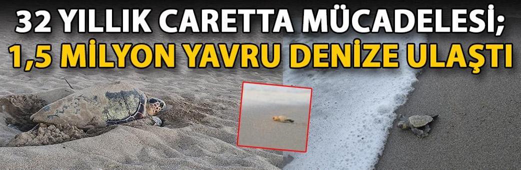 32 yıllık caretta mücadelesi; 1,5 milyon yavru denize ulaştı