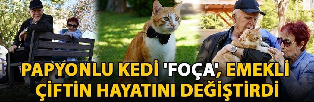 Papyonlu kedi 'Foça', emekli çiftin hayatını değiştirdi
