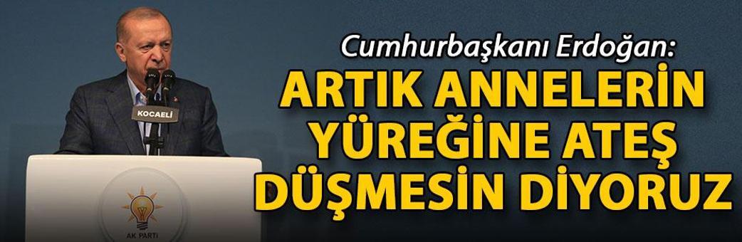 Cumhurbaşkanı Erdoğan: Artık annelerin yüreğine ateş düşmesin diyoruz