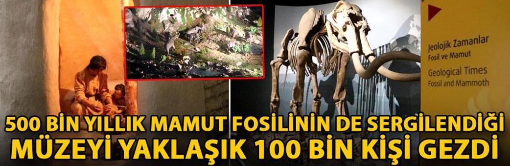 500 bin yıllık mamut fosilinin de sergilendiği müzeyi yaklaşık 100 bin kişi gezdi