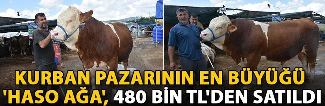 Kurban pazarının en büyüğü 'Haso Ağa', 480 bin TL'den satıldı