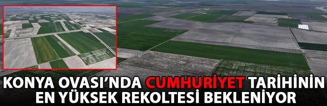 Konya Ovası’nda Cumhuriyet tarihinin en yüksek rekoltesi bekleniyor