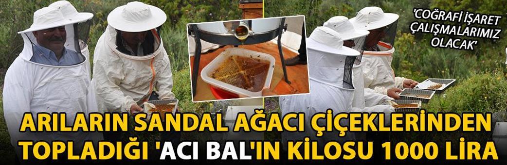 Arıların sandal ağacı çiçeklerinden topladığı 'acı bal'ın kilosu 1000 lira