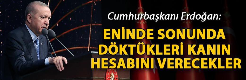 Cumhurbaşkanı Erdoğan: Eninde sonunda döktükleri kanın hesabını verecekler