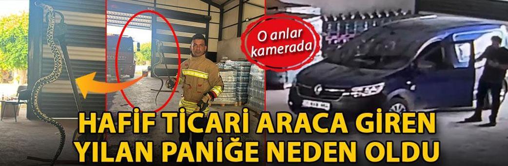 Hafif ticari araca giren yılan paniğe neden oldu; o anlar kamerada