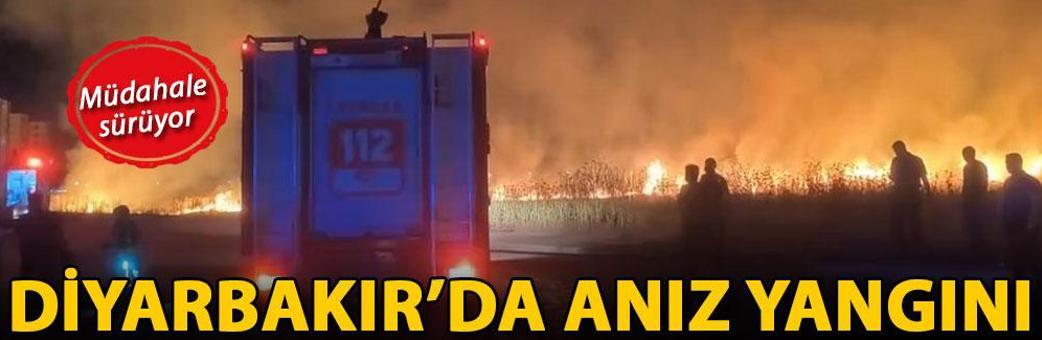 Diyarbakır’da anız yangını; müdahale sürüyor