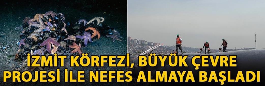 İzmit Körfezi, büyük çevre projesi ile nefes almaya başladı