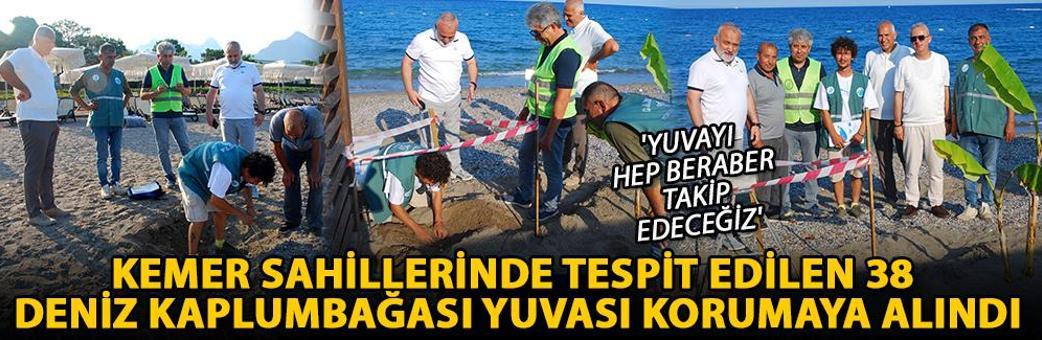 Kemer sahillerinde tespit edilen 38 deniz kaplumbağası yuvası korumaya alındı