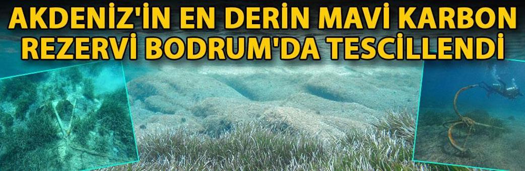 Akdeniz'in en derin mavi karbon rezervi Bodrum'da tescillendi