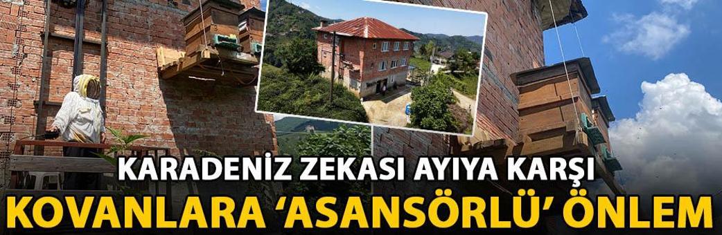 Karadeniz zekası ayıya karşı; kovanlara ‘asansörlü’ önlem