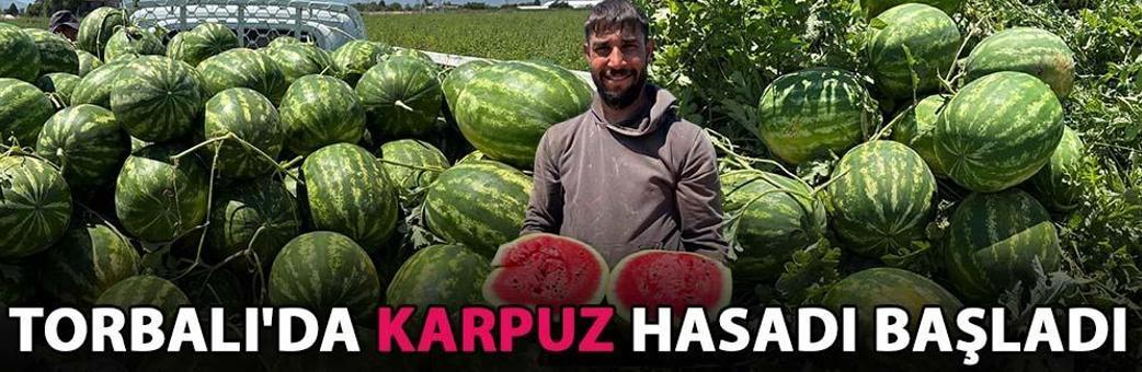 Torbalı'da karpuz hasadı başladı