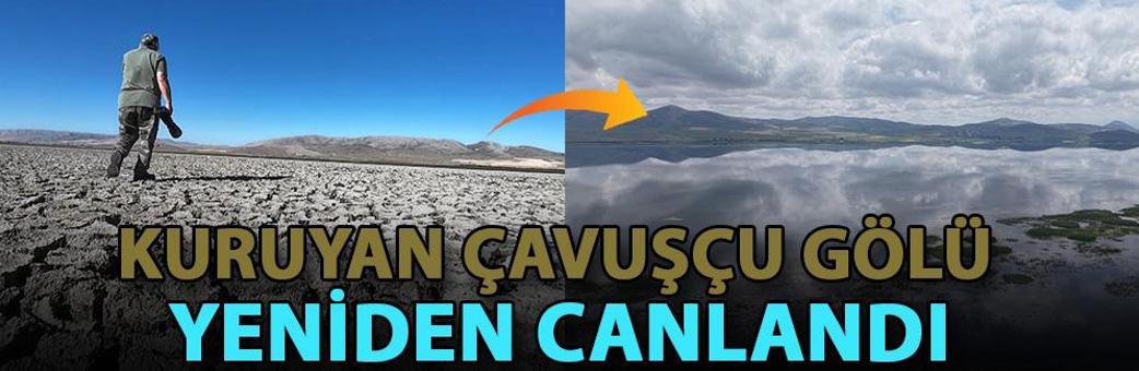 Kuruyan Çavuşçu Gölü, yeniden canlandı