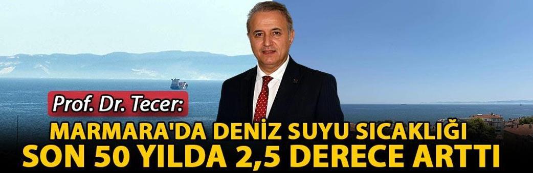 Prof. Dr. Tecer: Marmara'da deniz suyu sıcaklığı son 50 yılda 2,5 derece arttı