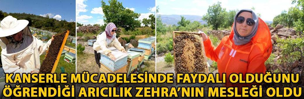 Kanserle mücadelesinde faydalı olduğunu öğrendiği arıcılık Zehra’nın mesleği oldu